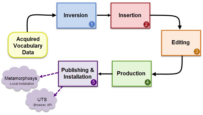 Metathesaurus Lifecycle